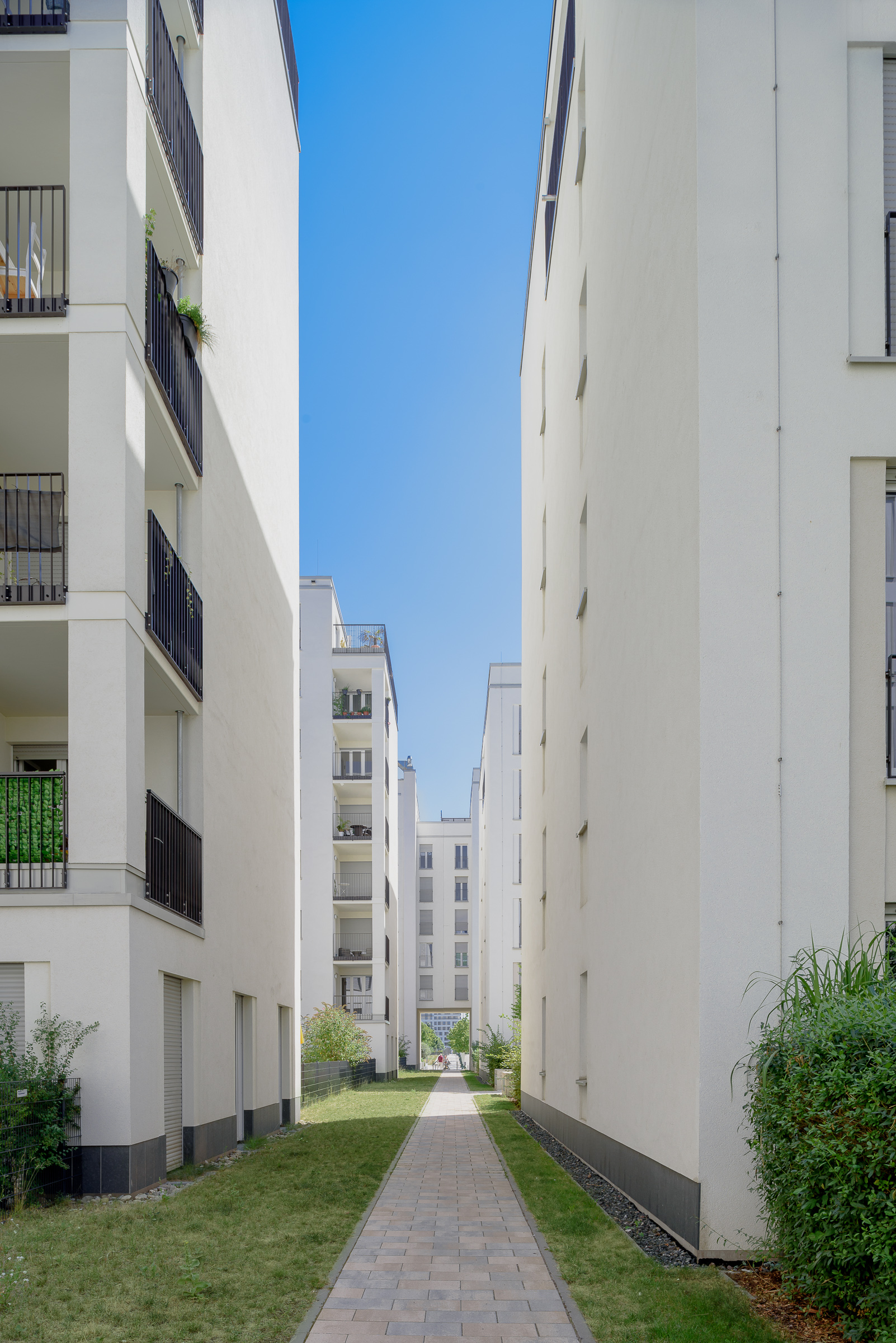 BelVista