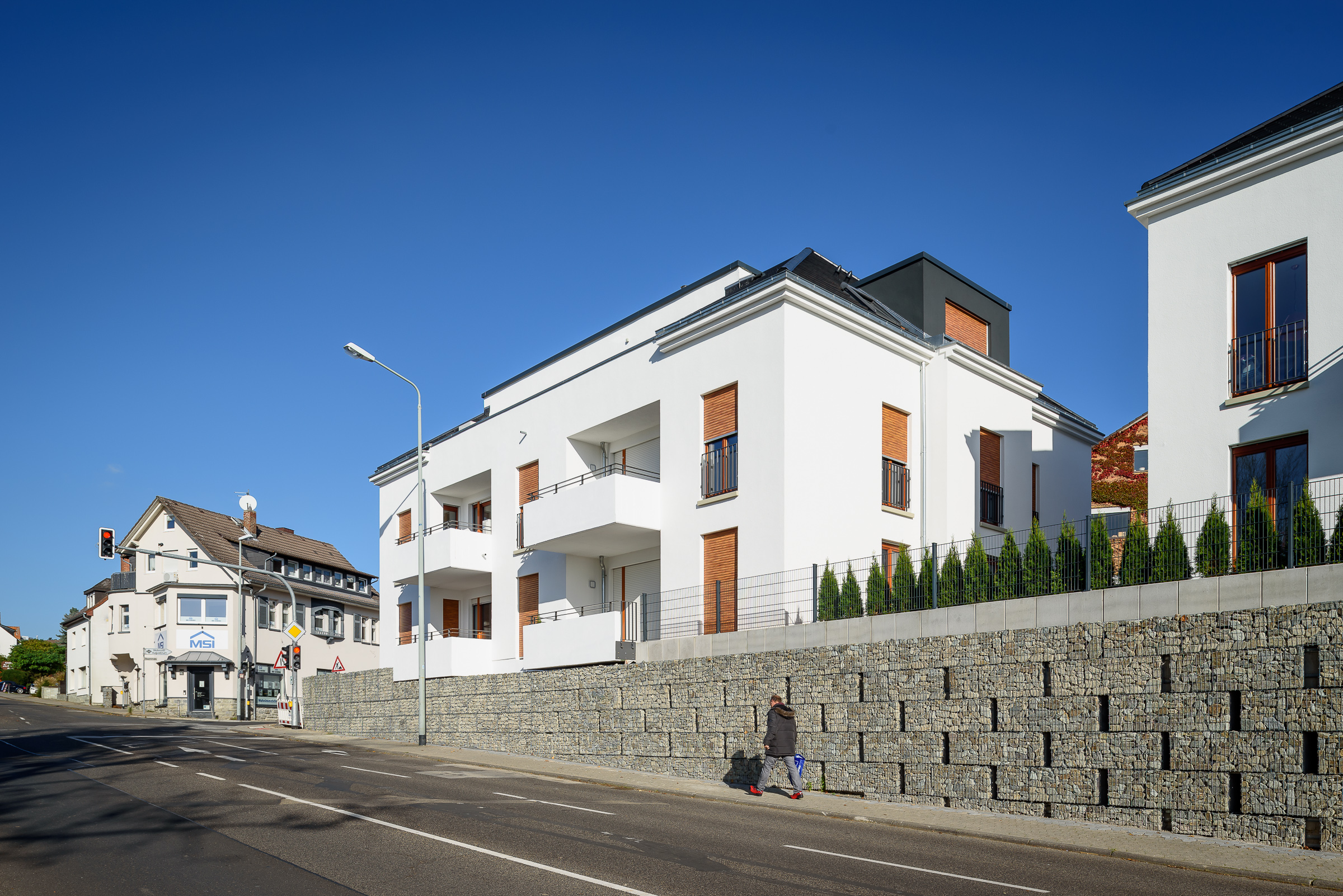 Tilia 3