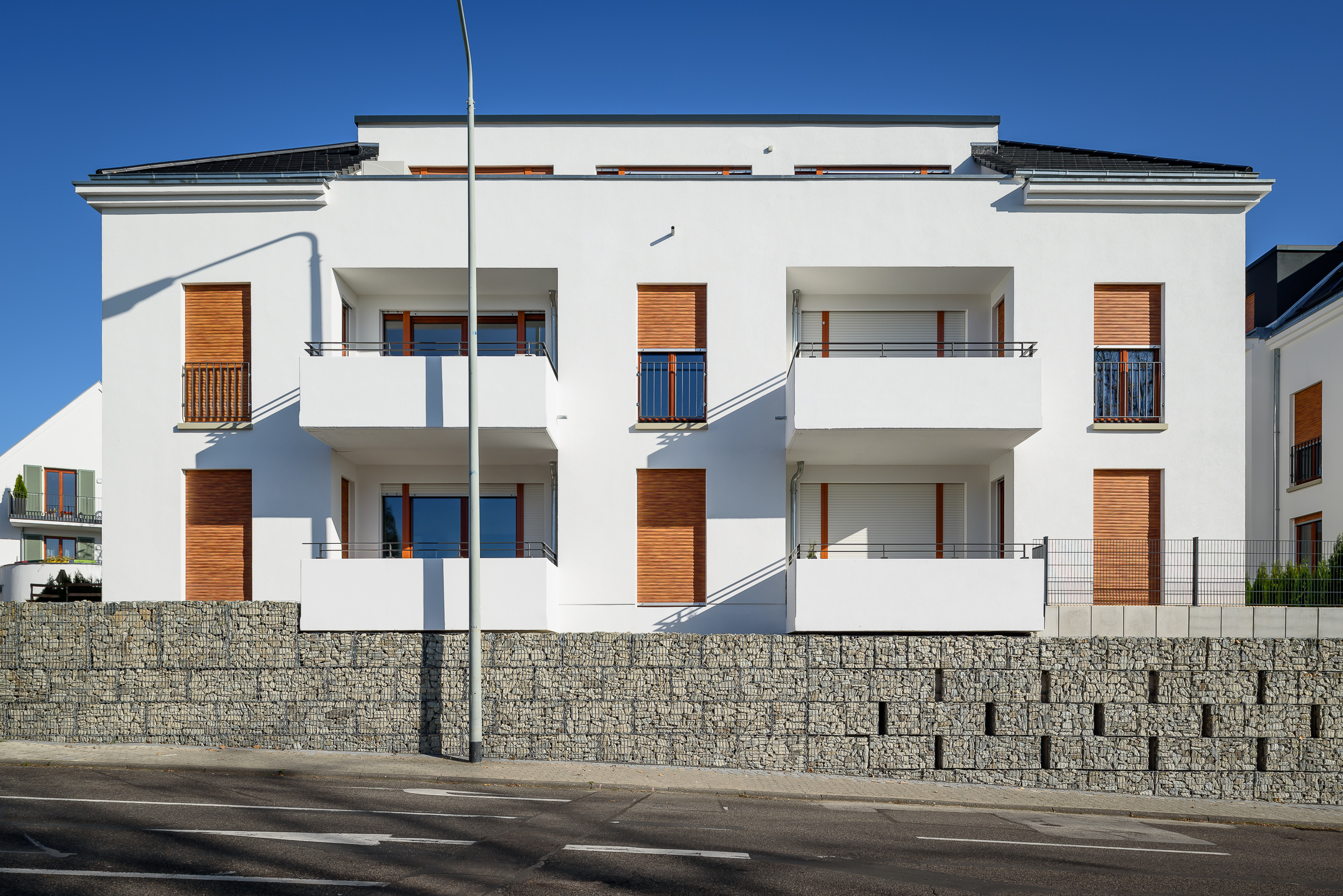 Tilia 3