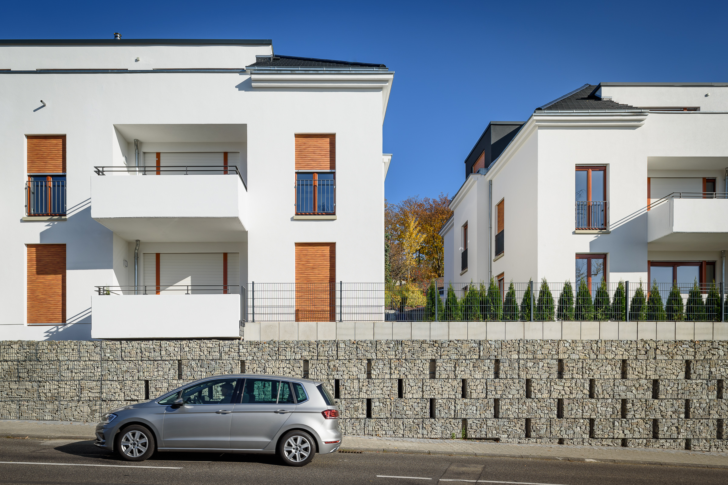 Tilia 3