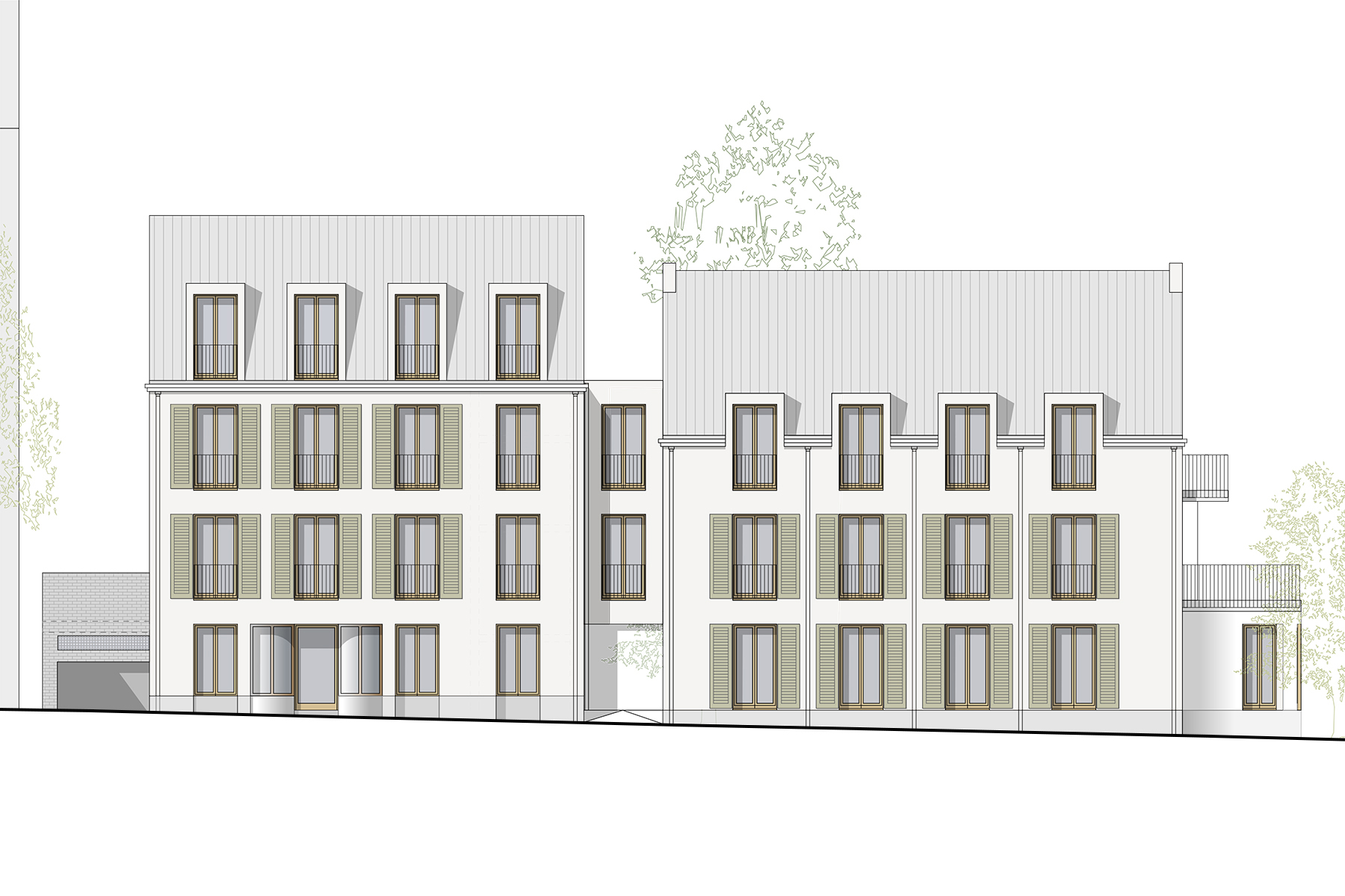 Tilia 3