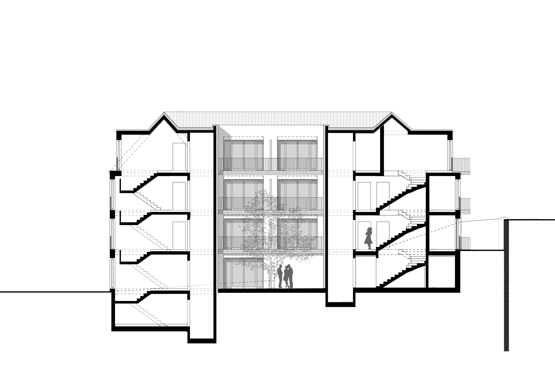 Tilia 3