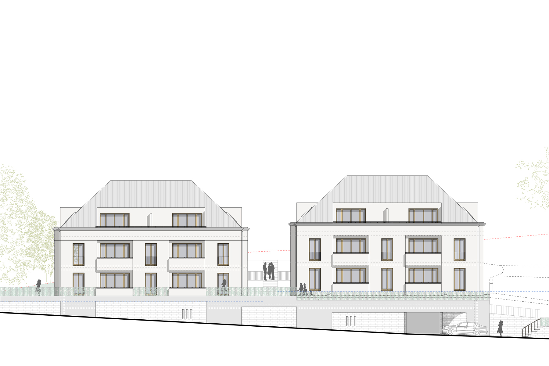Tilia 3